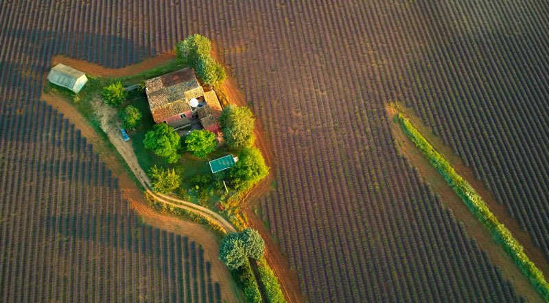 toma desde el cielo en el que se ve una finca y su plantación